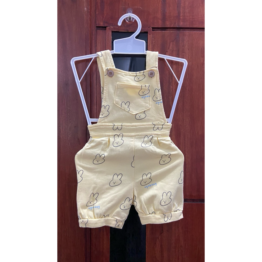 Romper Baby (Baby Gap, Agabang, Absorba)