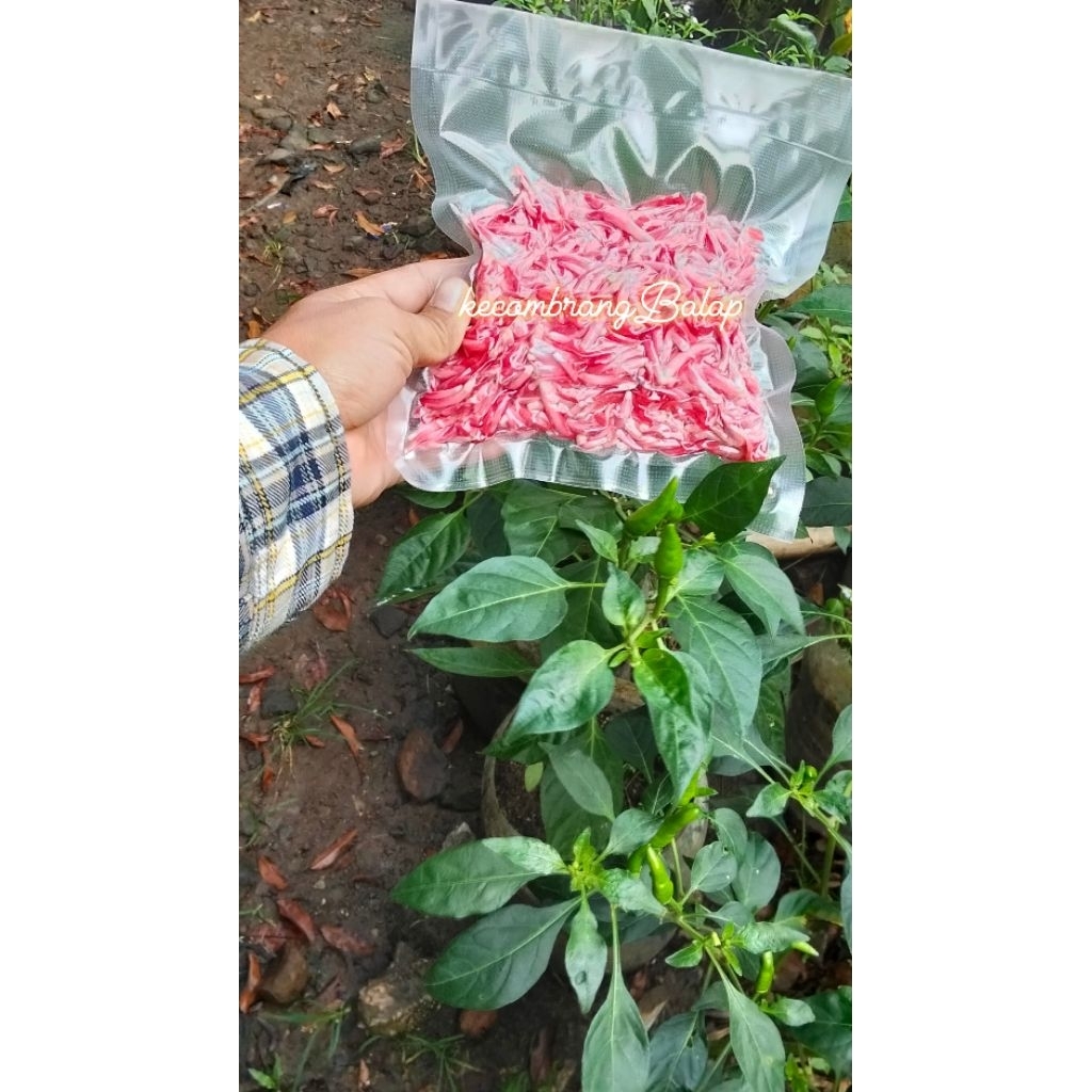 Kecombrang Merah Segar - Kecombrang vacum