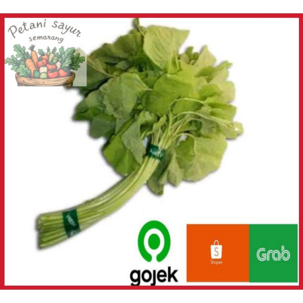 sayur bayam fress 1 ikat Semarang