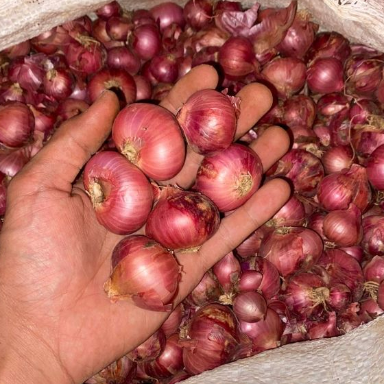 Bawang Merah 1kg, Ukuran Sedang-Besar,