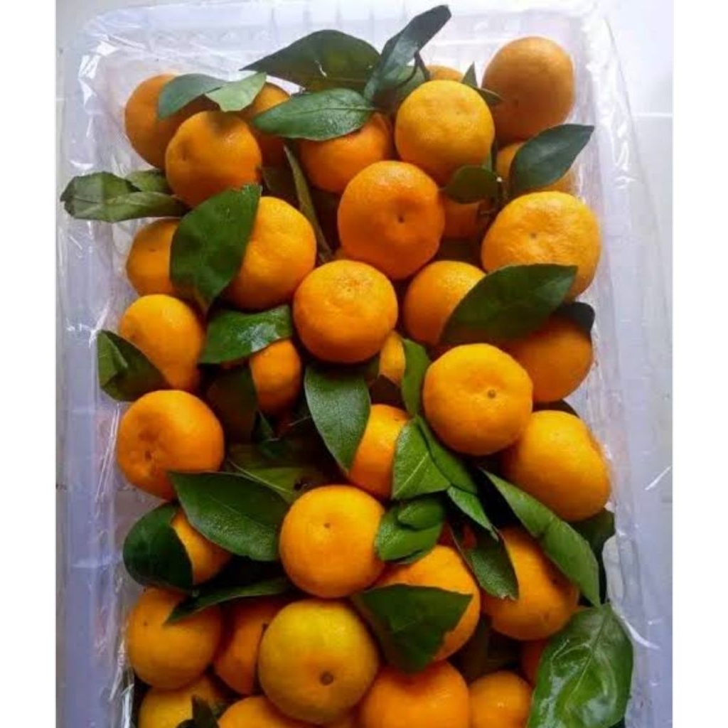 jeruk santang mandarin 1kg