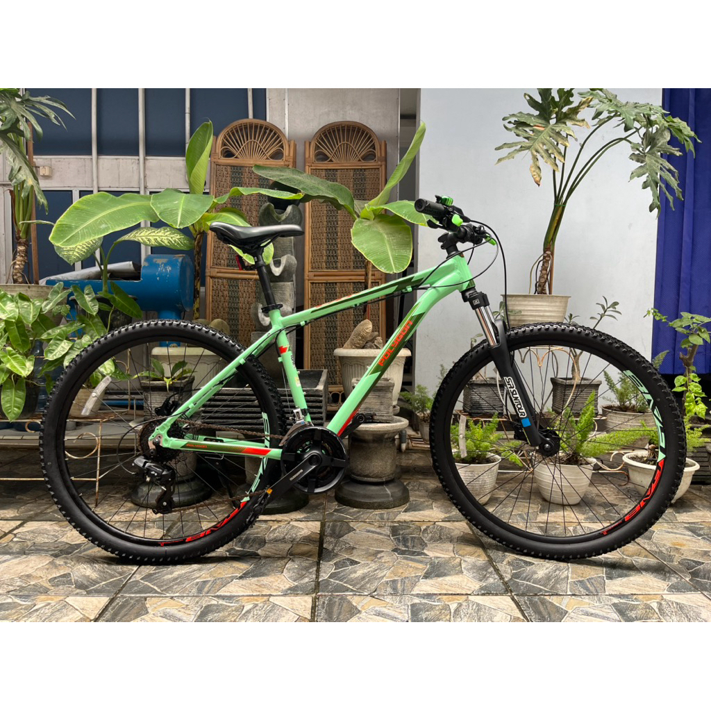 POLYGON CASCADE 4 2021