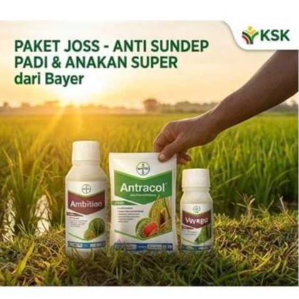 Paket Padi Joss anti sundep dan anakan super dari Bayer Vayego 100ml, Antracol 250ml, Ambition 500ml