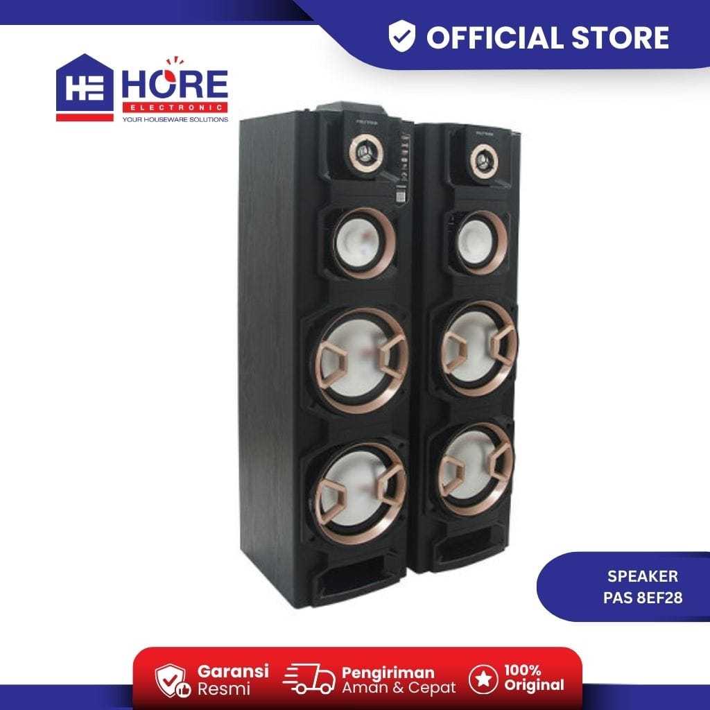 SPEAKER POLYTRON PAS 8EF28 / POLYTRON ACTIVE SPEAKER KARAOKE PAS 8EF28