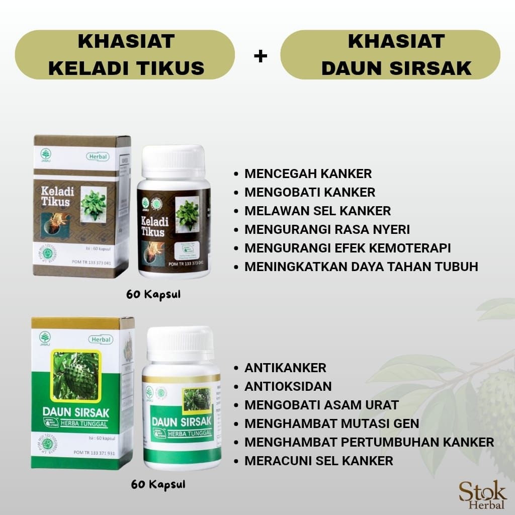Paket Kanker Keladi Tikus Daun Sirsak BPOM Obat Kanker Kista Tumor Mioma Kapsul Keladi Tikus + Daun 