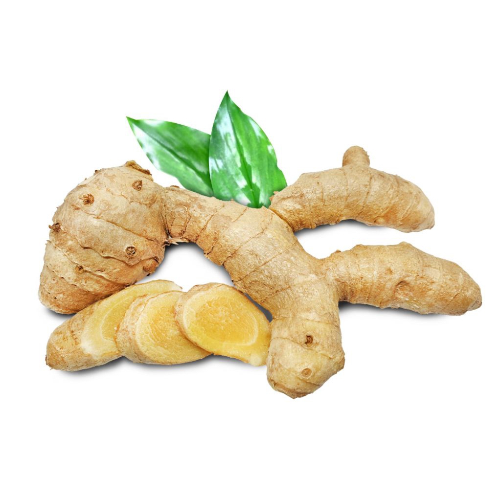 temu putih atau kunyit putih fresh kaya manfaat