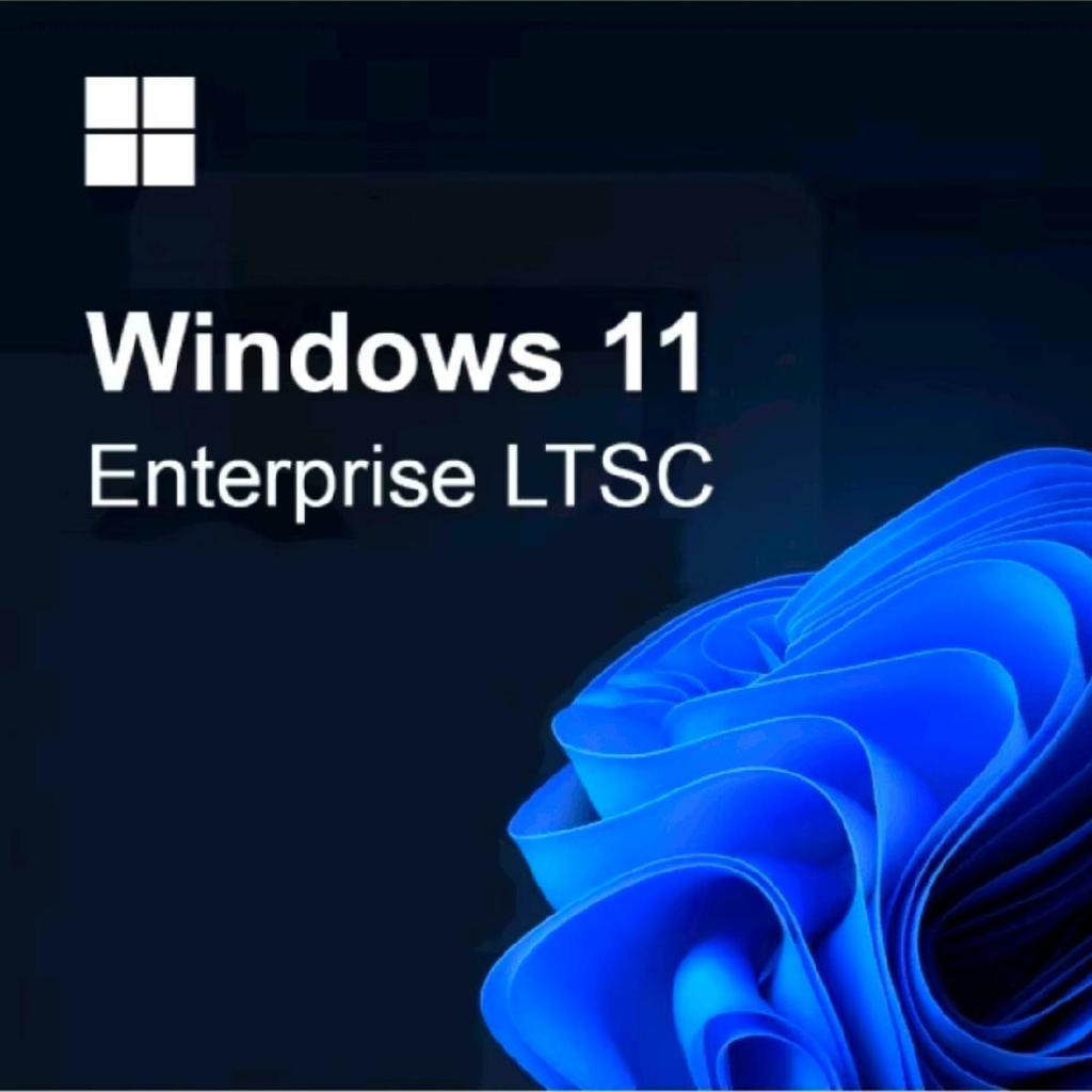 Windows 11 Enterprise LTSC Flashdisk INSTALL Ulang Bootable