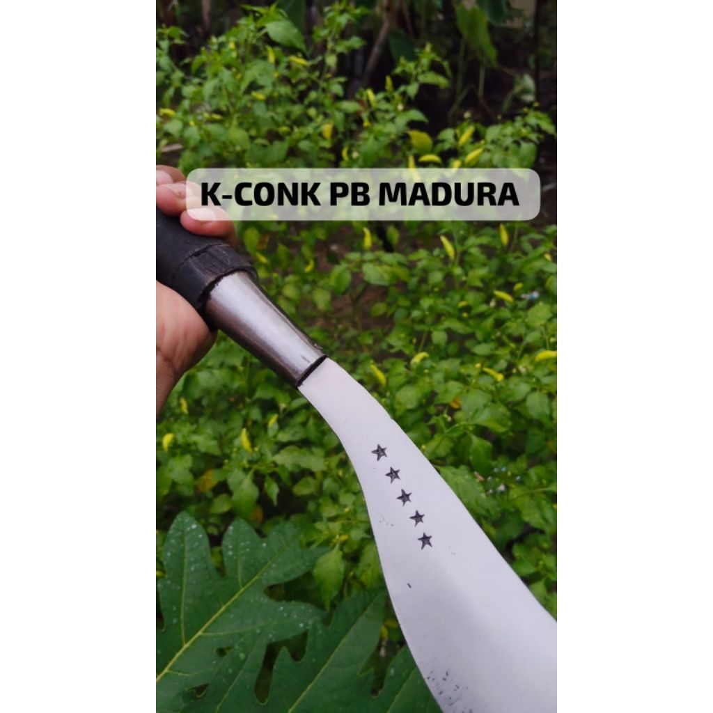 arit/sabit rumput tradisional asli baja