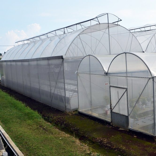 1ROLL 25 METER PLASTIK PE SERBAGUNA TEBAL 05 LEBAR 3 METER PLASTIK YUPI