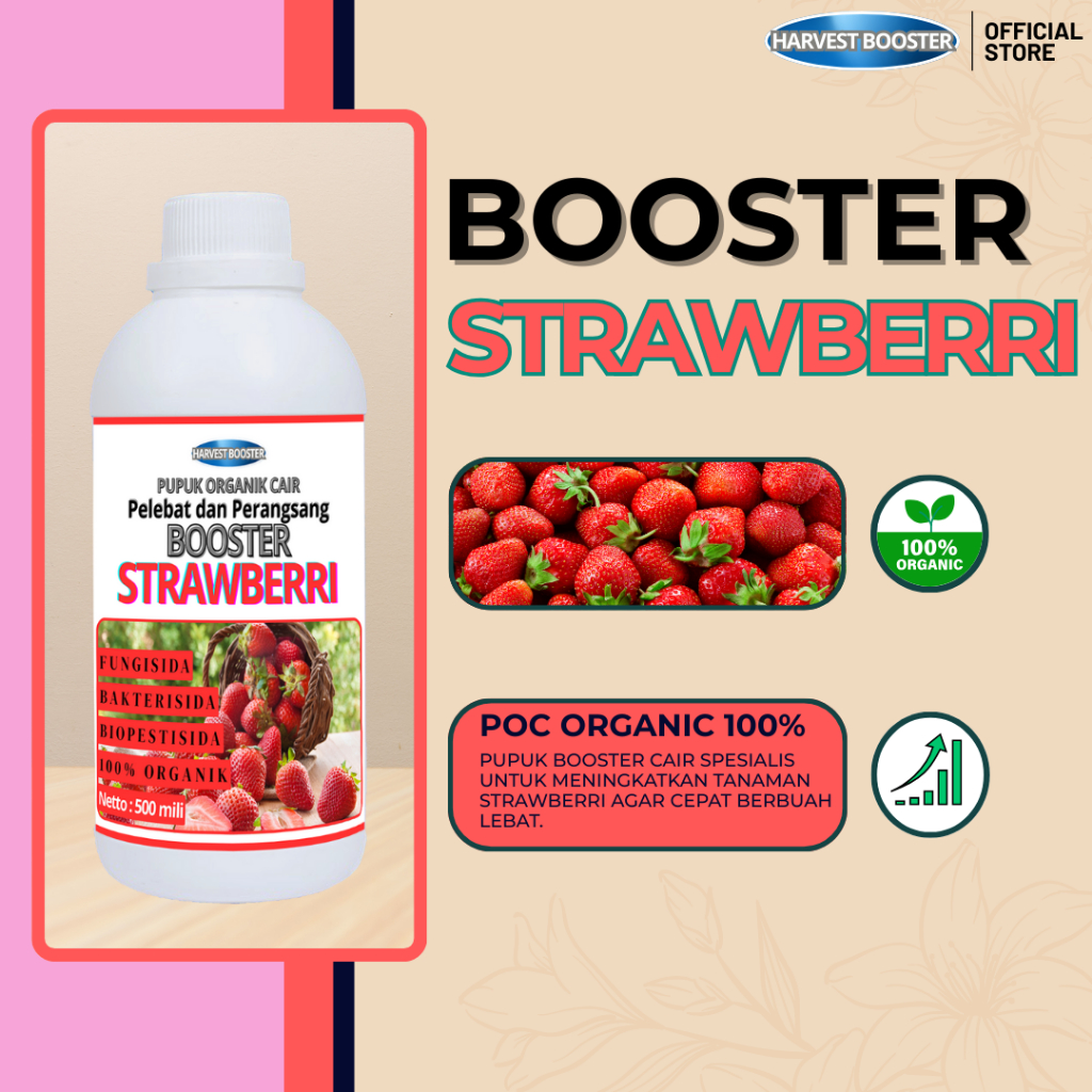 BOOSTER STRAWBERRY | Pupuk buah STRAWBERRY agar berbuah lebat / pupuk pelebat buah STRAWBERRY anti r