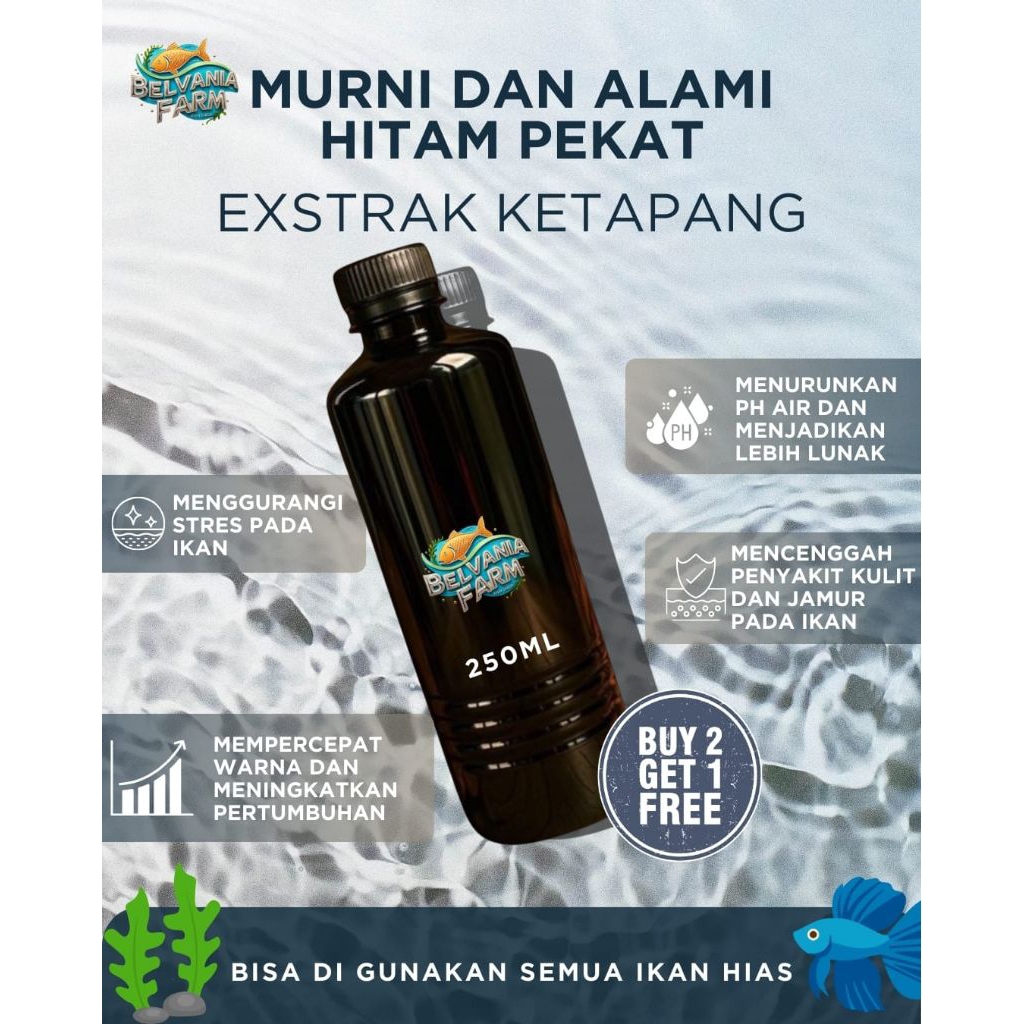 promo extra daun ketapang 250ml beli 2 gratis 1