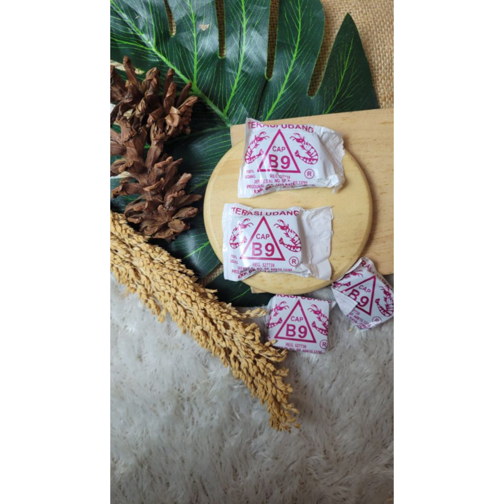 Terasi Udang Cirebon Cap B9