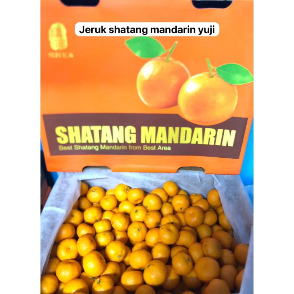 Jeruk Shatang Madu Yuji /kg