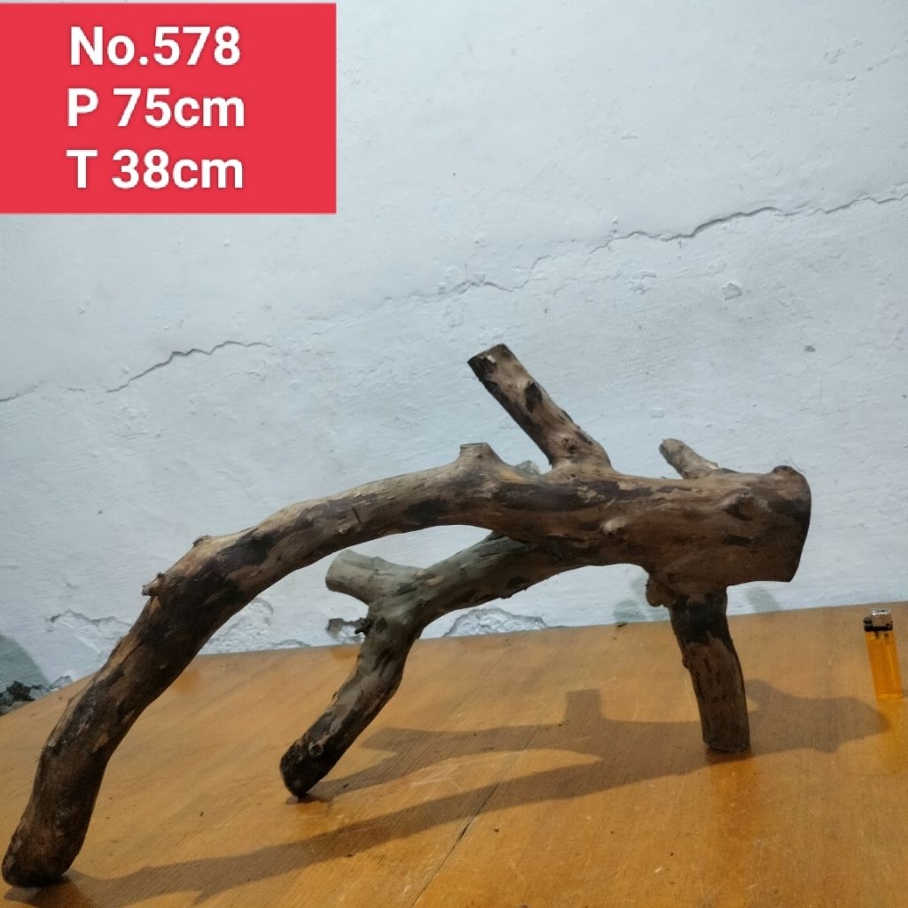 bonggolan akar santigi laut kayu dekorasi aquascape aquarium 578