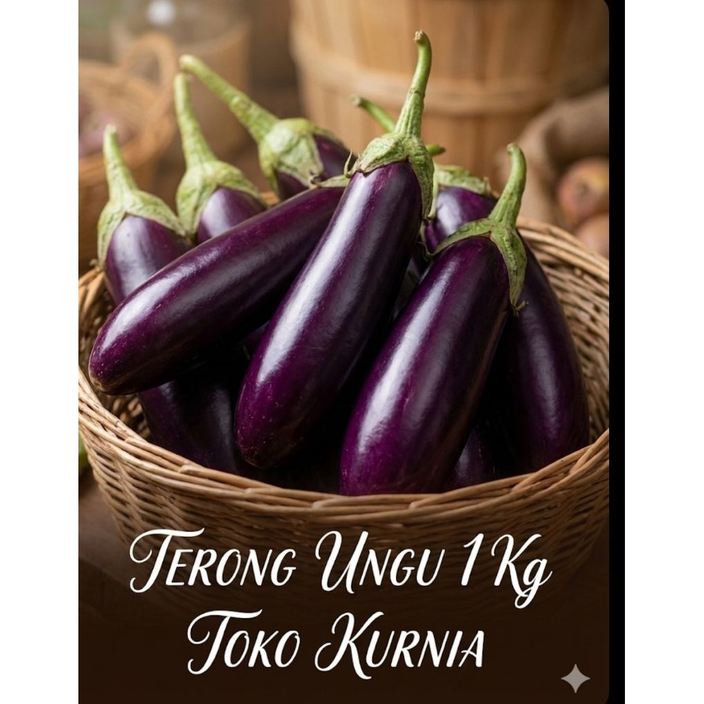 TERONG UNGU   1 Kg