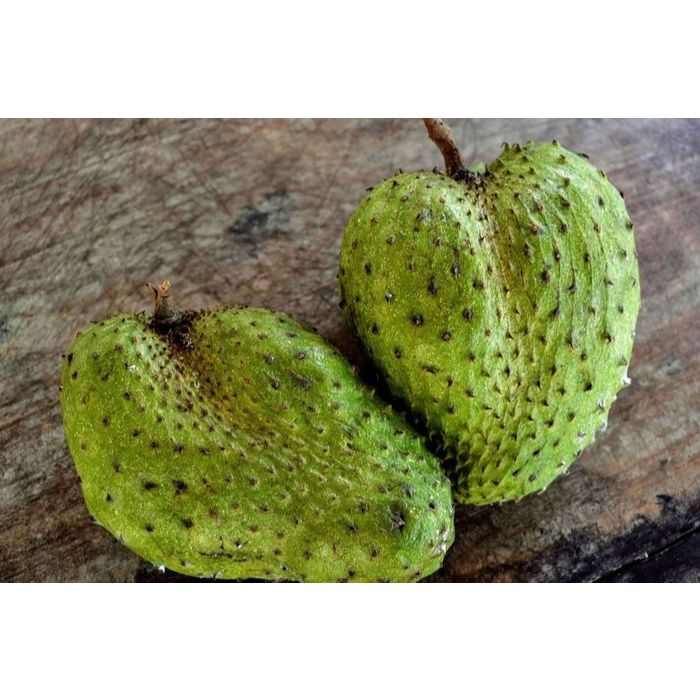 buah sirsak 1kg