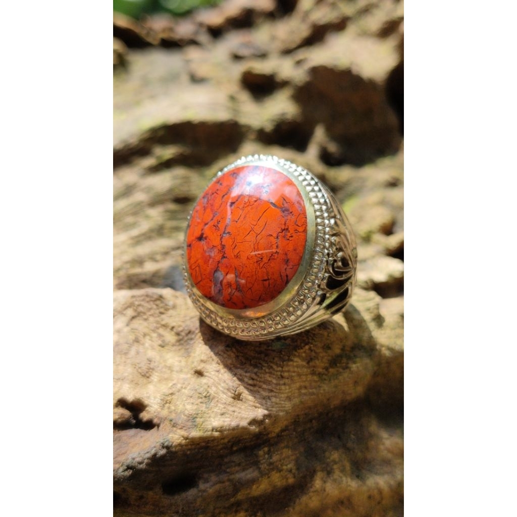 BADAR BESI MERAH CABE