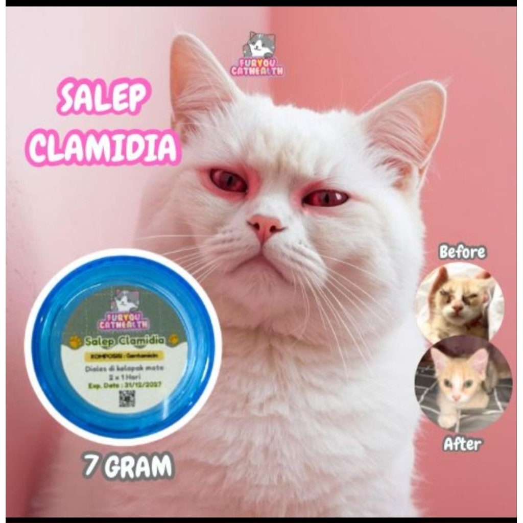 Furyou Salep Clamidia acyclovir clindamycin Oxytetracycline erelamicetin genoint salep mata kucing