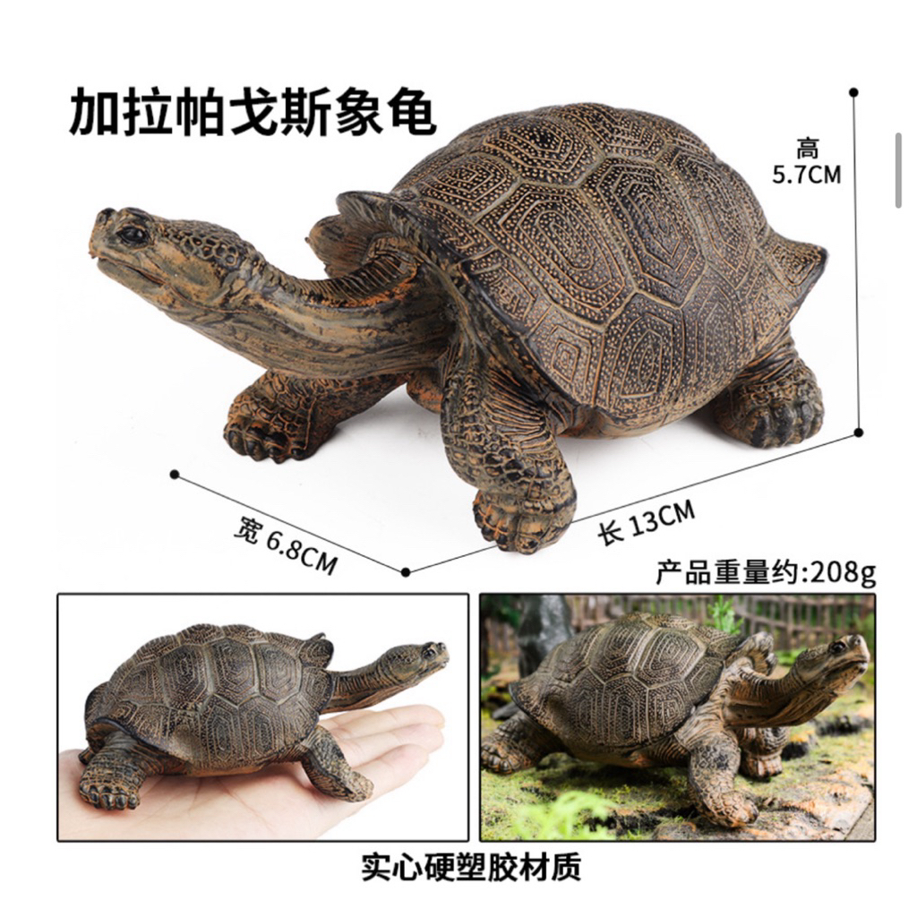 Kura kura mainan simulasi kura-kura pajangan sukata Labi-labi Bulus tortoise - koleksi miniatur aqua