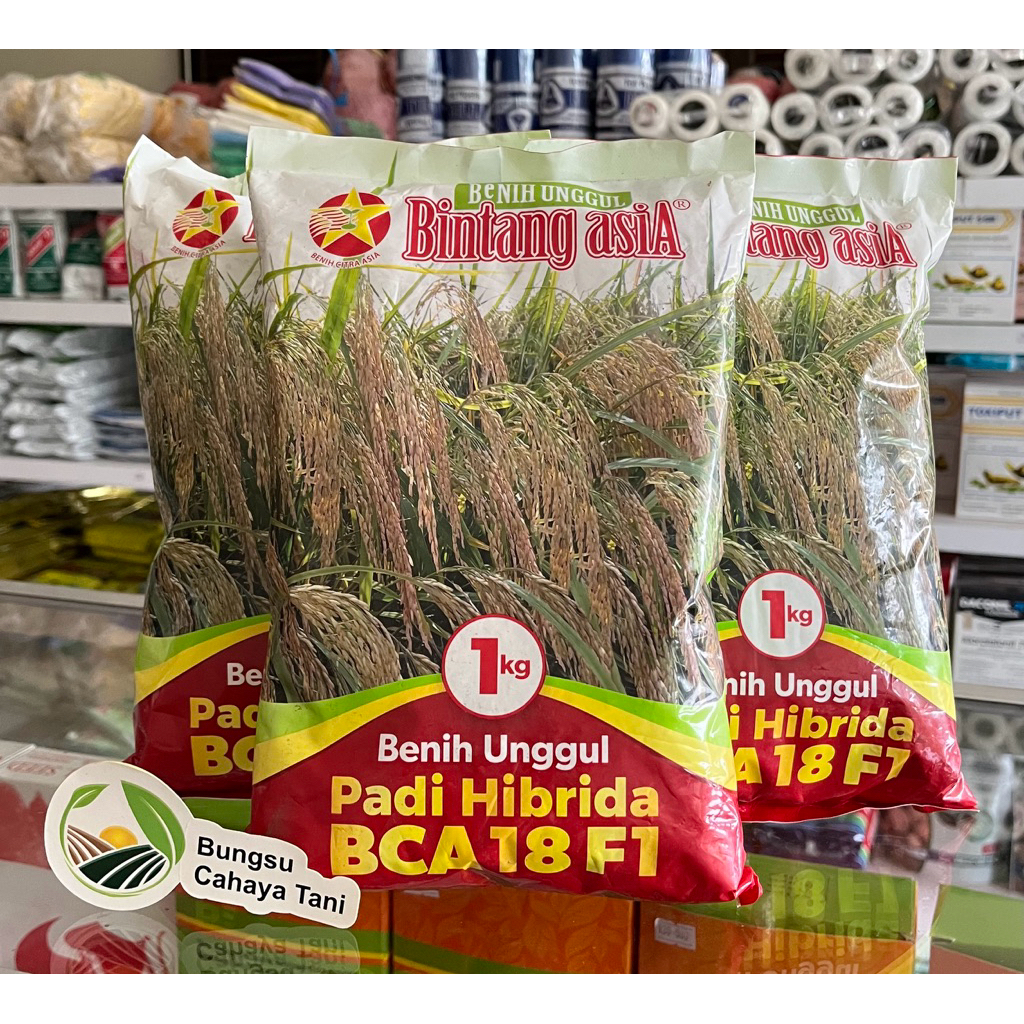 Benih Padi Hibrida BCA 18 F1 1kg Bintang Asia