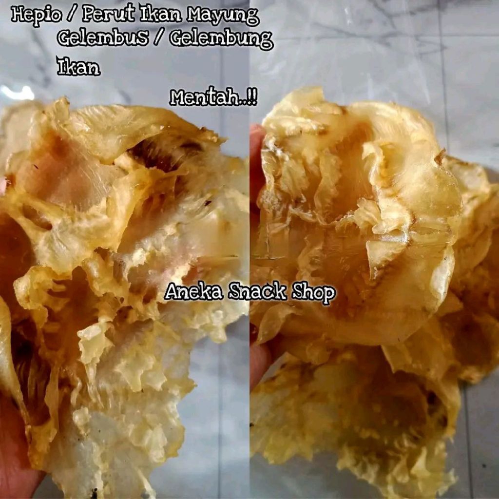 Hephio Mentah (±250gr) Hepio Ikan Mayong - Hipio - Perut Ikan - Gelembung Ikan - Gelembus Ikan - Fis