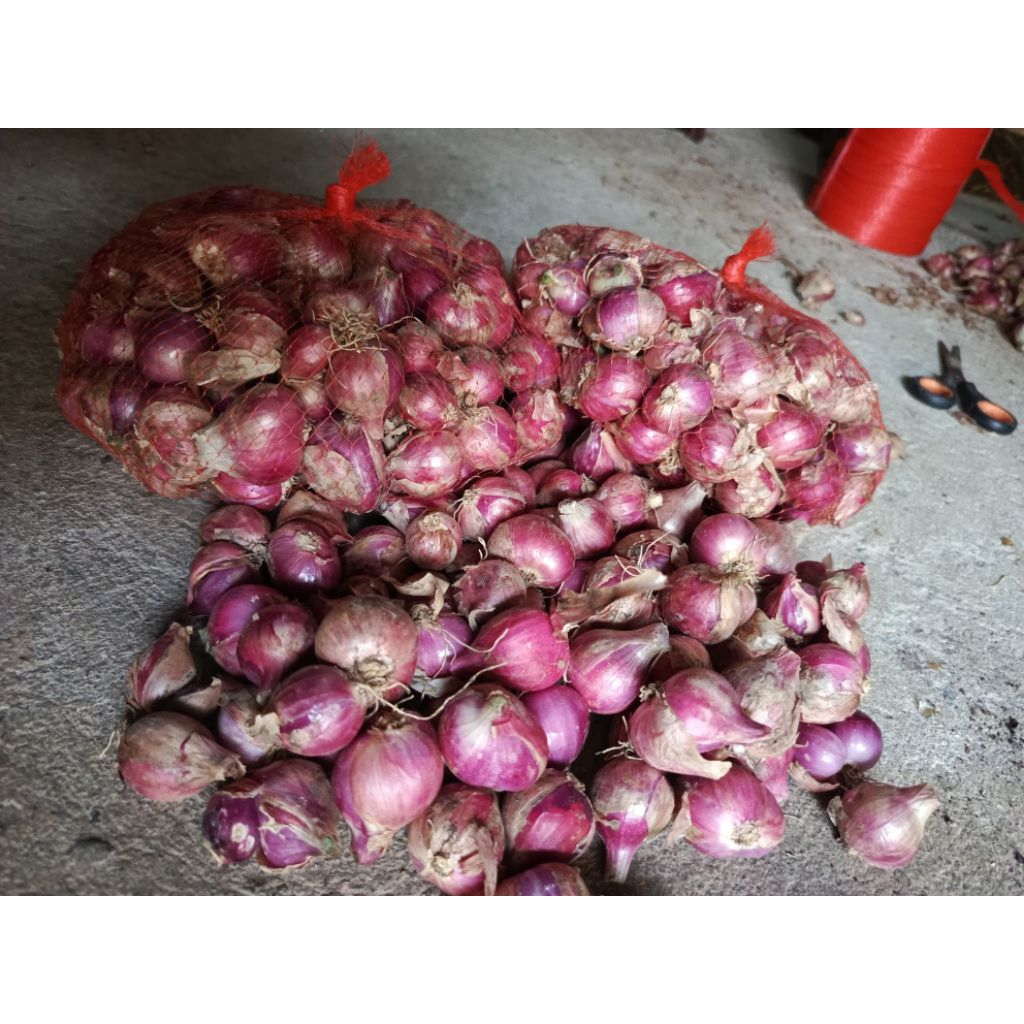 Bawang Merah lokal 1 kg