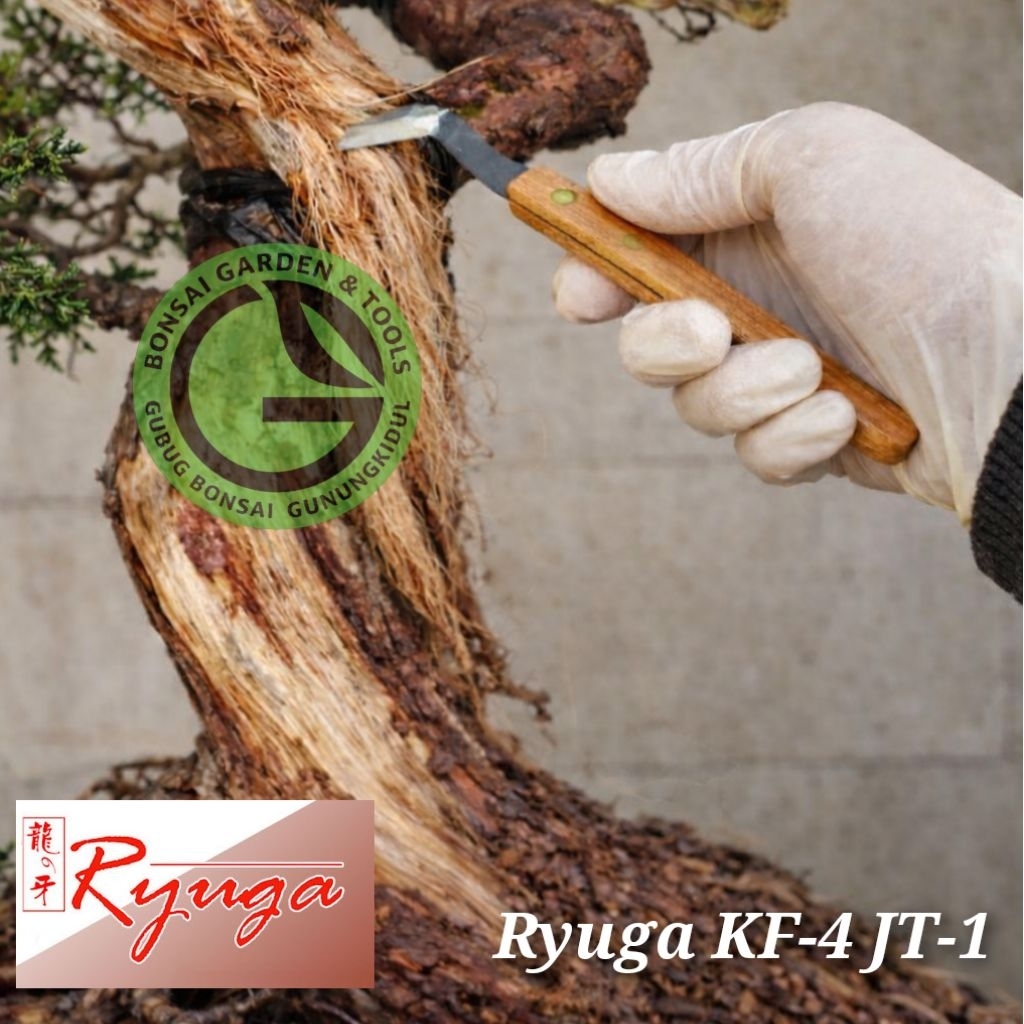 Pisau Kupas Bonsai Ryuga KF-4 JT-1 pisau jin bonsai