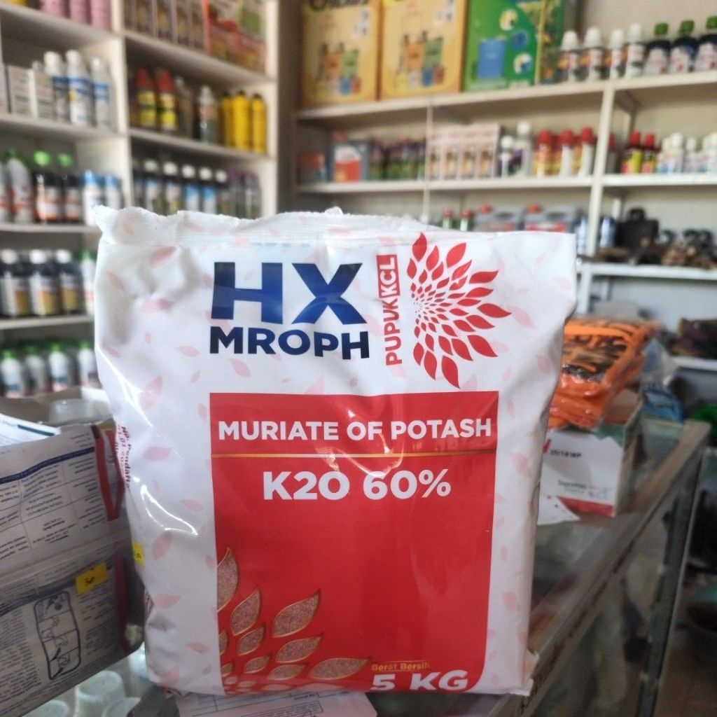 Pupuk KCL K20 60% HX MROPH 5KG
