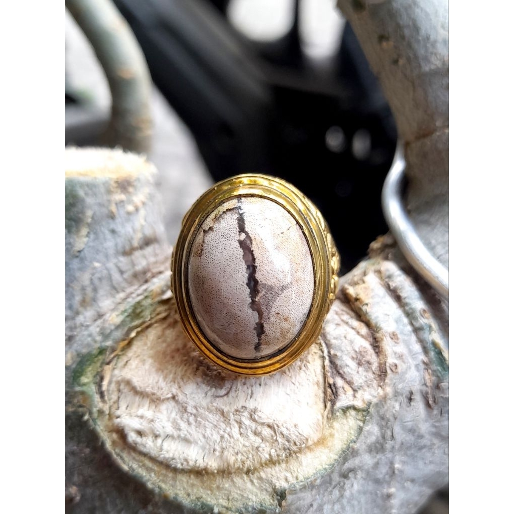 cincin batu akik fosil kelor kendit
