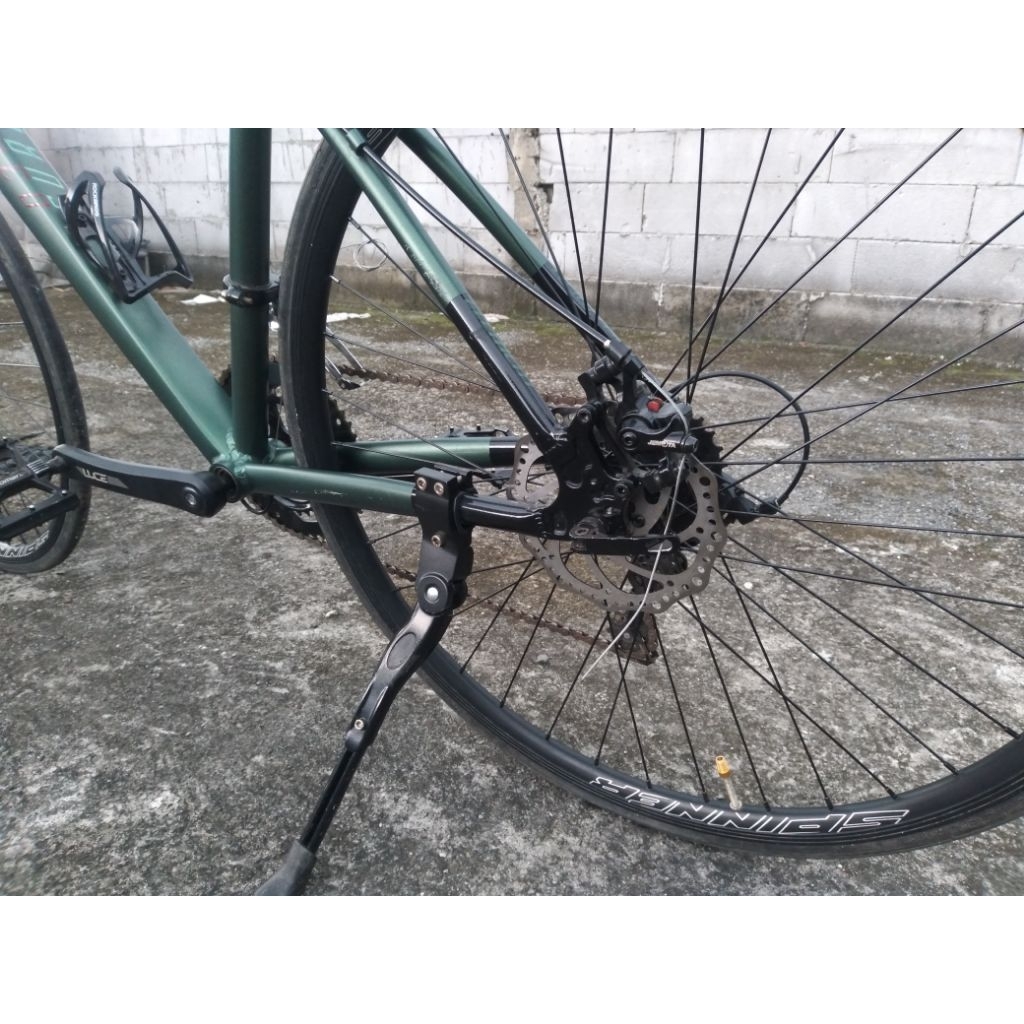 Element curved Lt 2024