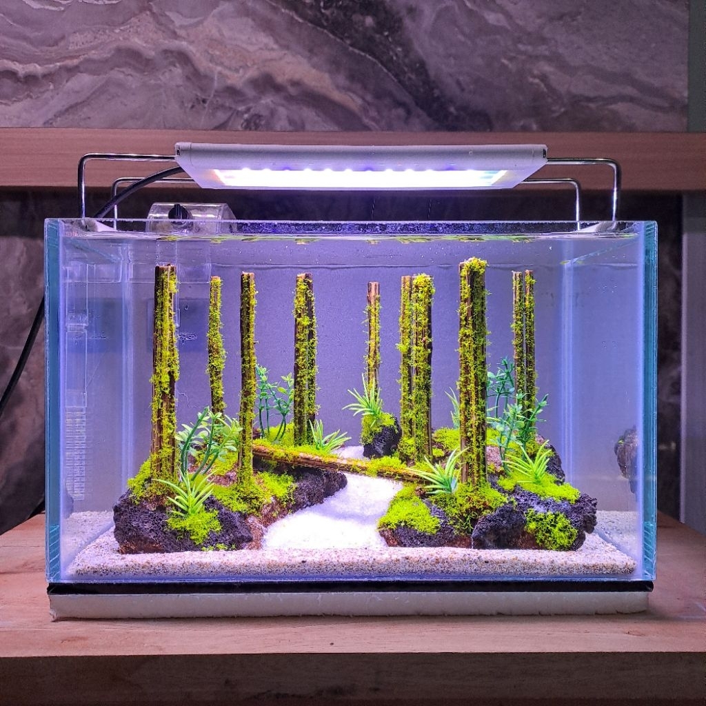 Aquascape Paket Komplit Jungle Style Ukuran 25x15x15