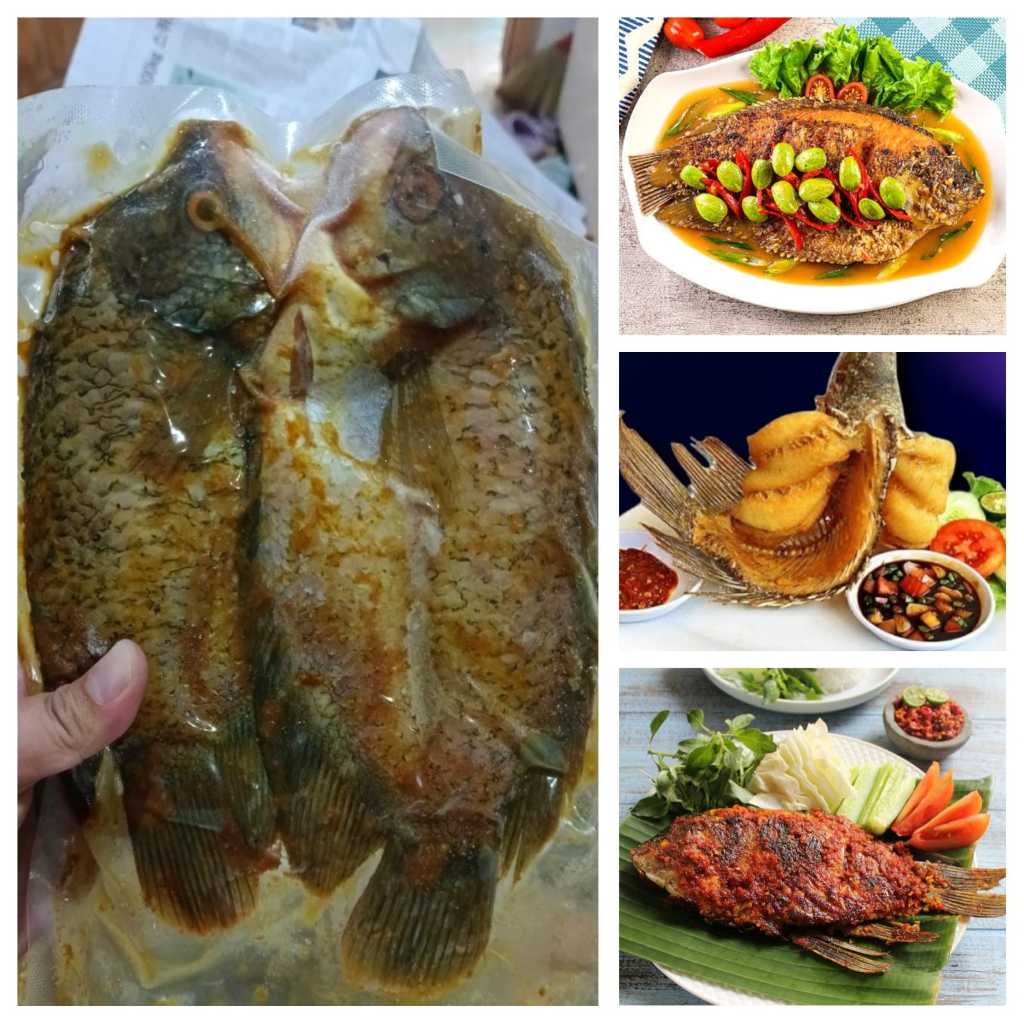 Gurame Marinasi Frozen