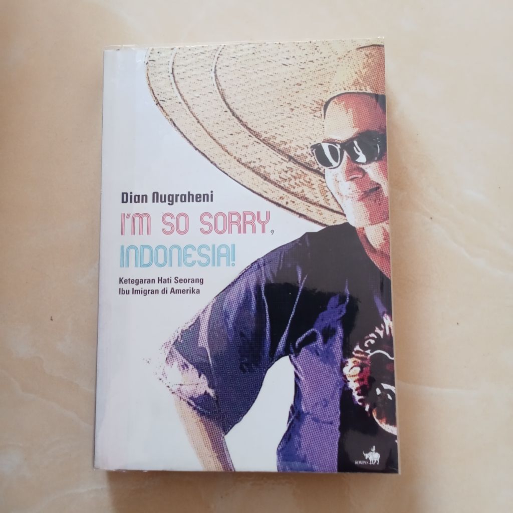 BUKU BEKAS ORI 100% - I'M SORRY INDONESIA