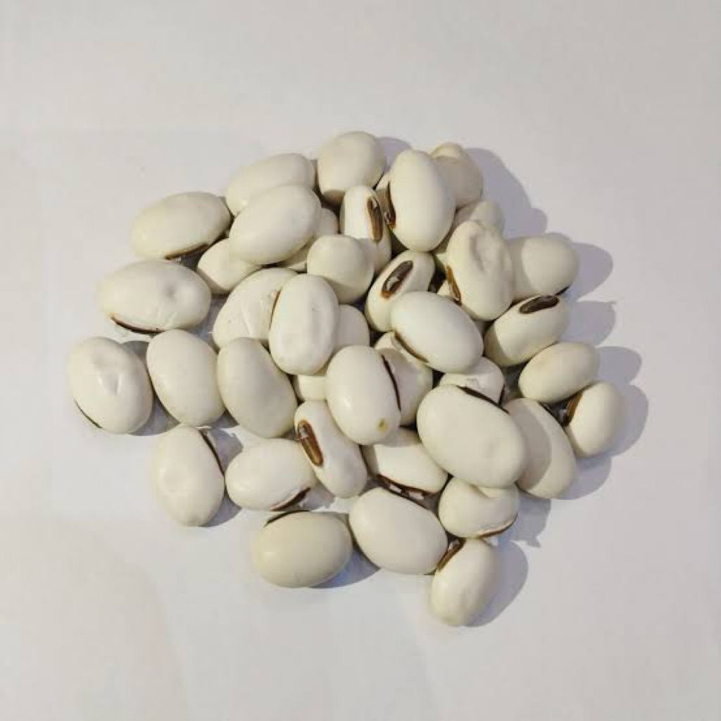 Biji Kacang Koro Binong / koro pedang 1kg