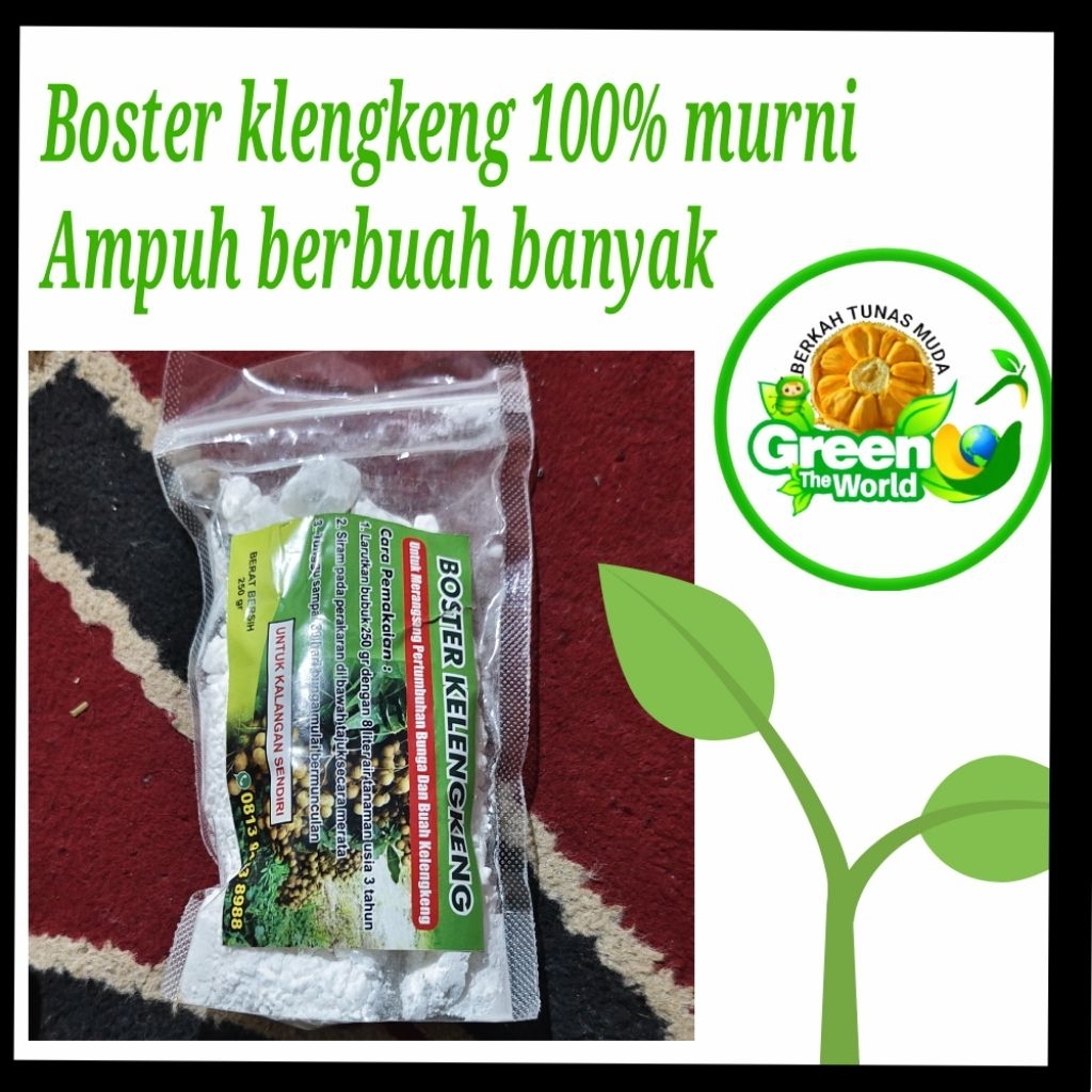 Boster  klengkeng 100% murni perangsang buah klengkeng pemacu klengkeng