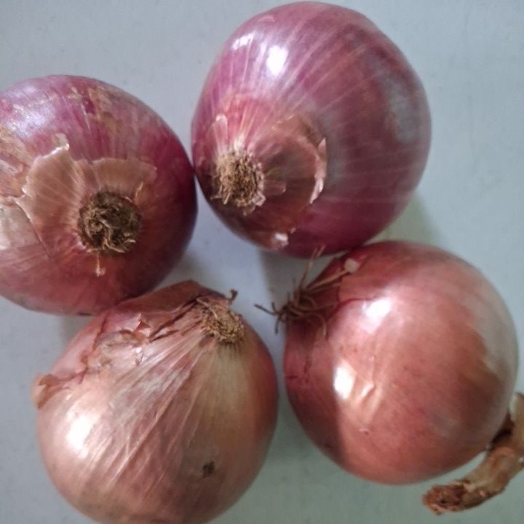 Bawang Merah India 1kg