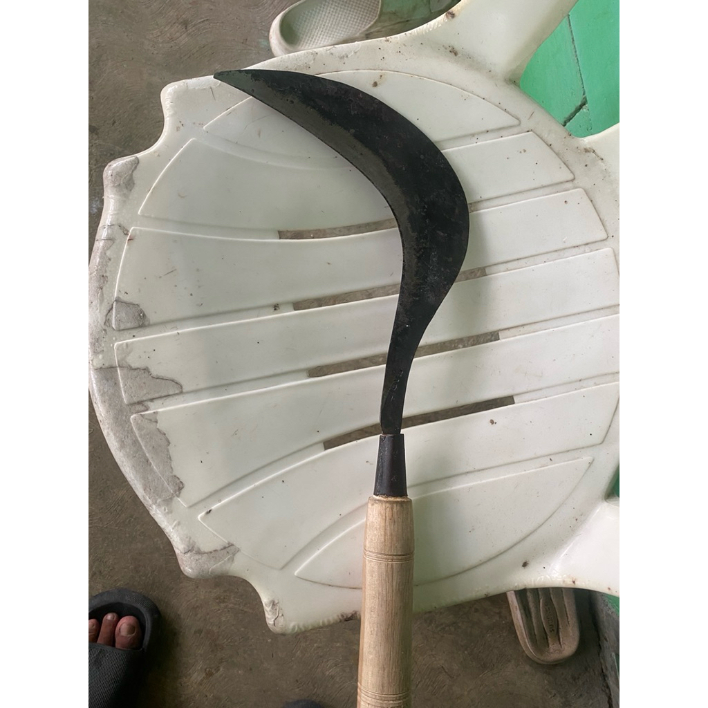 sabit atau arit Alat Penyiangan Rumput Tanaman Liar Harrow Hoe Puller Berkebun Pertanian