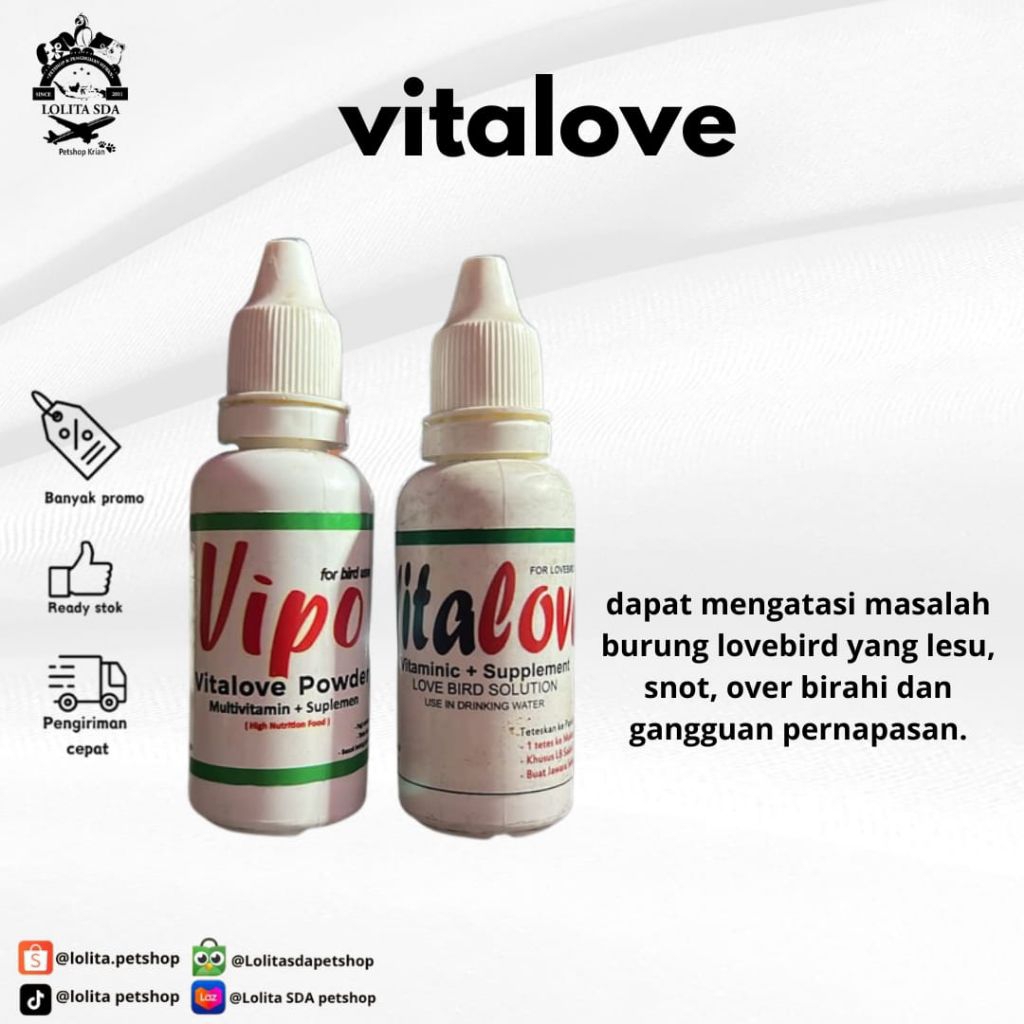 VITALOVE OBAT BURUNG SAKIT LESU SNOT OVER BIRAHI CACINGAN NYILET GANGGUAN PERNAFASAN UNTUK BURUNG LO