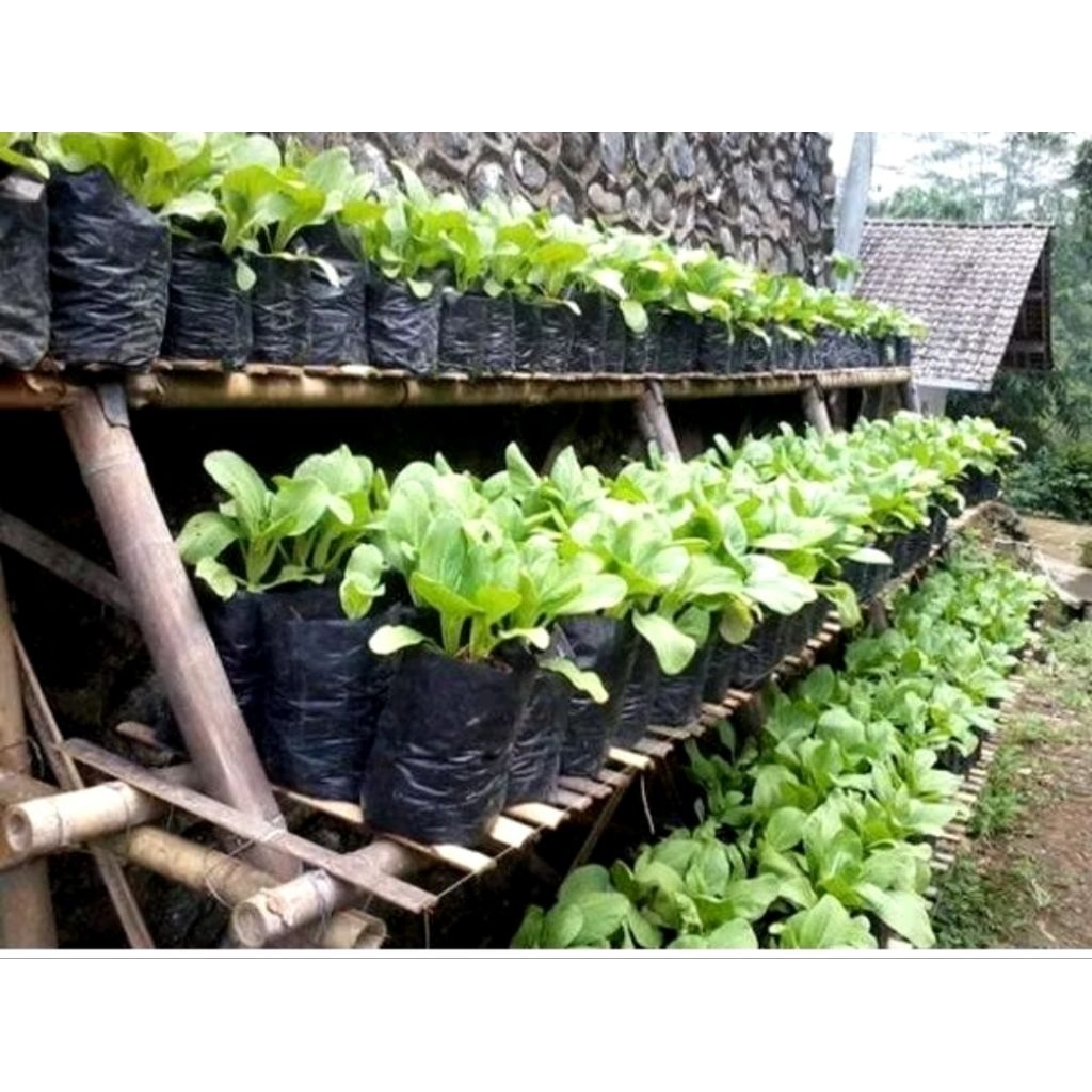 polibag tanaman perkiloan sesuai ukuran