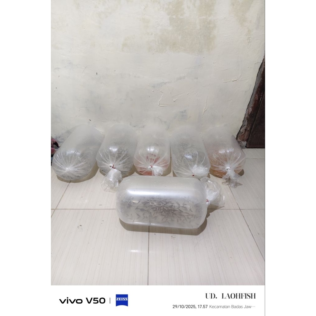 nila hitam black prima monosex