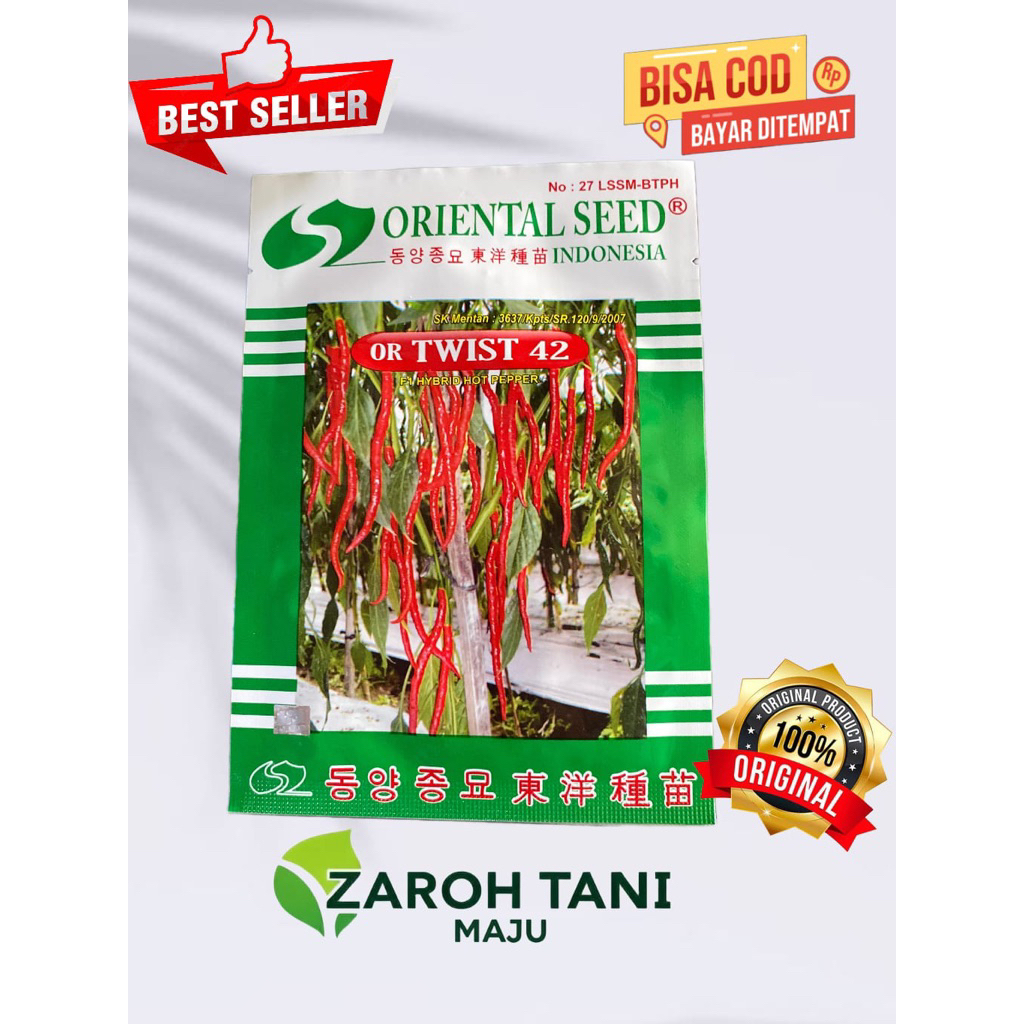 Benih cabe kriting OR TWIST 42, 10 gr (Benih dijamin KEASLIANYA)