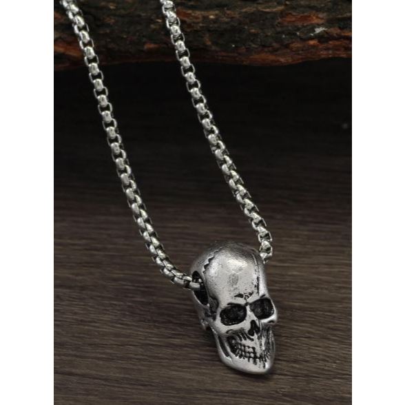 TERBARU Kalung Rantai Rollo Liontin Tengkorak Titanium Pria / Kalung Stainles Steel Anti Karat