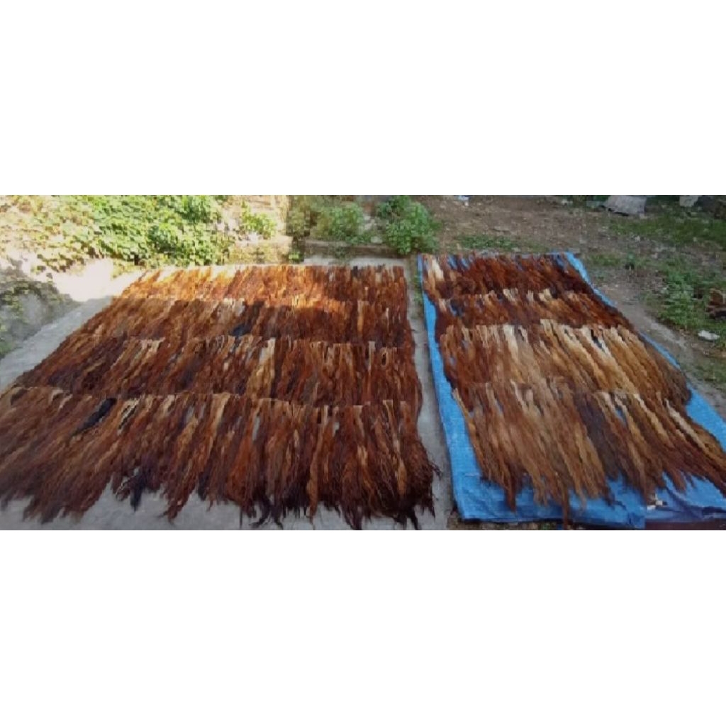 Rambut Sapi Rambut Barongan Ekor Sapi Non Garam