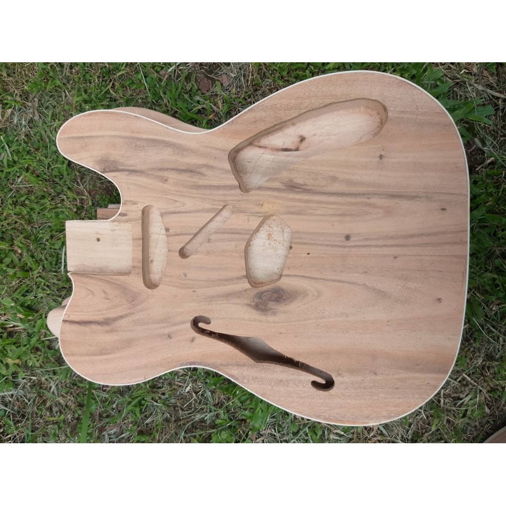 Body model Telecaster thinline | binding
