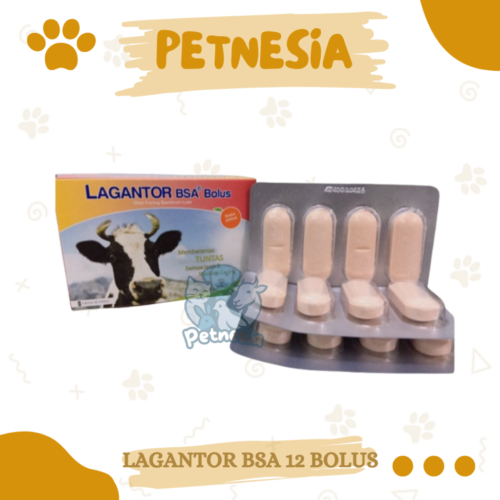 LAGANTOR BSA 12 BOLUS (1BOX KECIL) - Obat Cacing Sapi Bolus Paling Ampuh