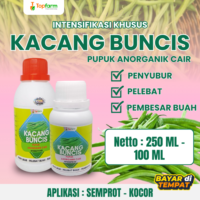 Pupuk Khusus Tanaman Kacang Buncis/Pupuk Perangsang Pada Tanaman Buncis/Pupuk Semprot Pelebat Tanama