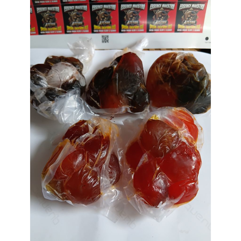 cendil telor bebek umpan galatama lele