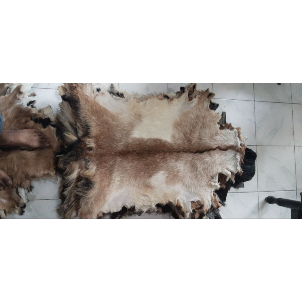 media lukis dr kulit kambing sudah olahan bagus lentur karena samak