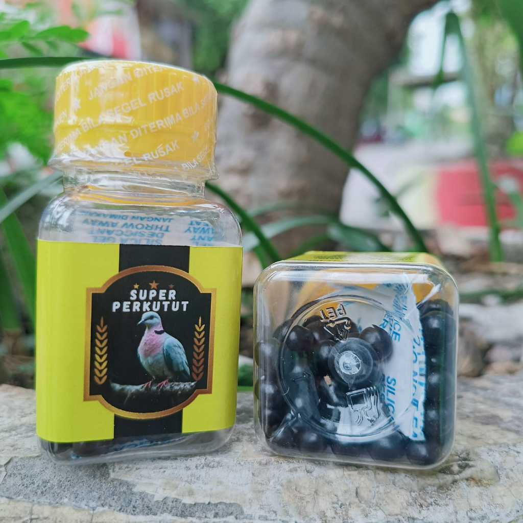 JAMU PIL PERKUTUT SEHAT GACOR TRADISIONAL SUPER PERKUTUT ISI 100 Butir PIL HITAM BURUNG PERKUTUT MAN