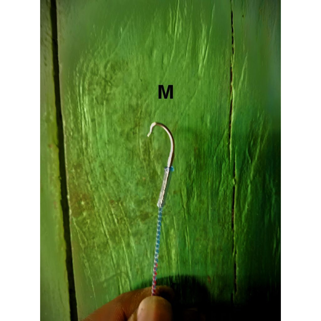 PANCING BELUT SUPER UREK ukuran M(sawah,rawa,sungai)